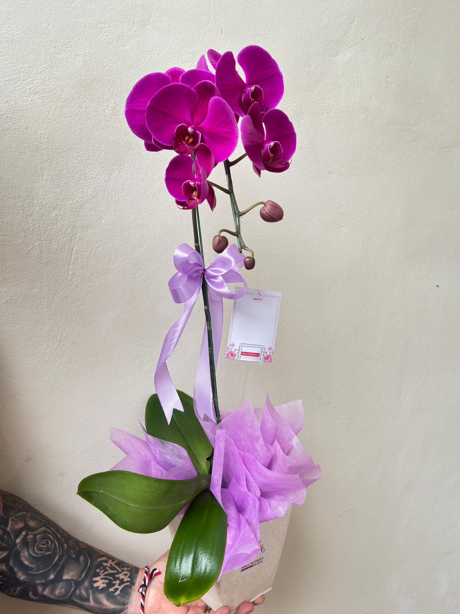 Elegant Orchid Vase 1 Tree