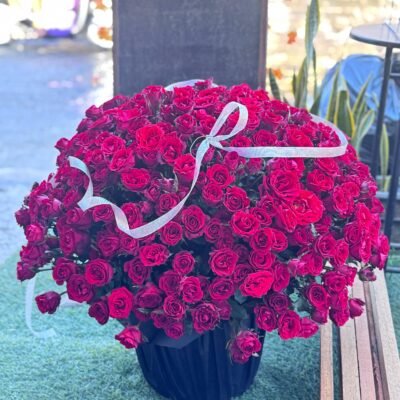 300 Roses in Jumbo Box