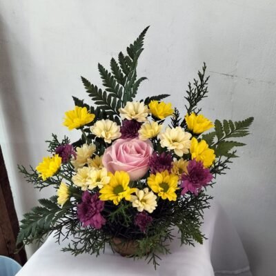 Table Flower Aster