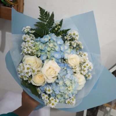 Blue Hydrange