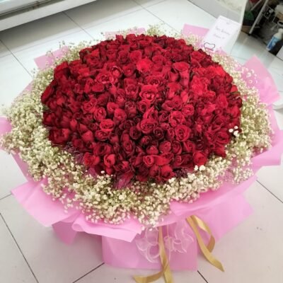300 Stalks of Roses with Full Baby Bretah