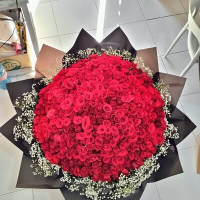 500 Stalks of Roses with Baby Breath