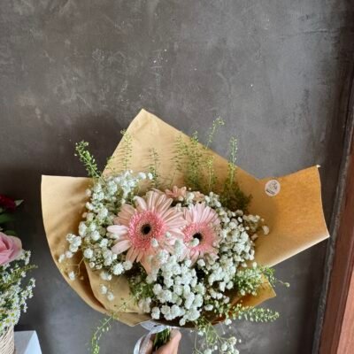 Garbeda on Baby Breath